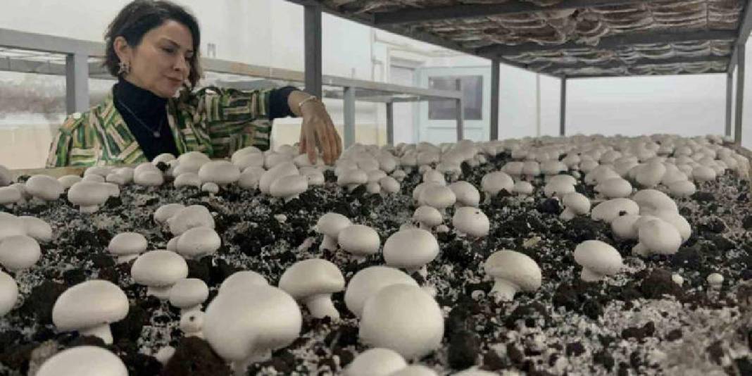 Aynı çatı altında hem eğitim hem üretim! 8 yıldır süren sistem: 60 metrekarede öğrenciler tecrübe kazanıyor 2